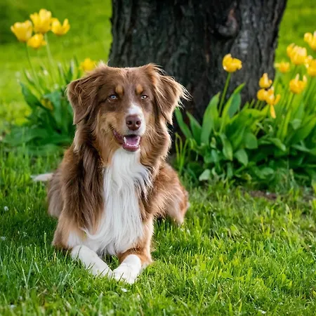 Normandy Coastal Haven Casa de Férias Osmanville