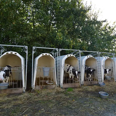 Normandy Coastal Haven Casa de Férias