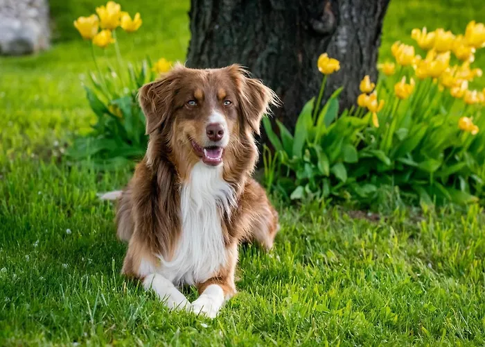 Seaside In Saint-clement Holiday home Osmanville